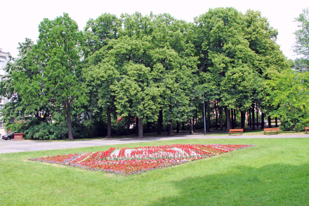 公园里的海棠花树