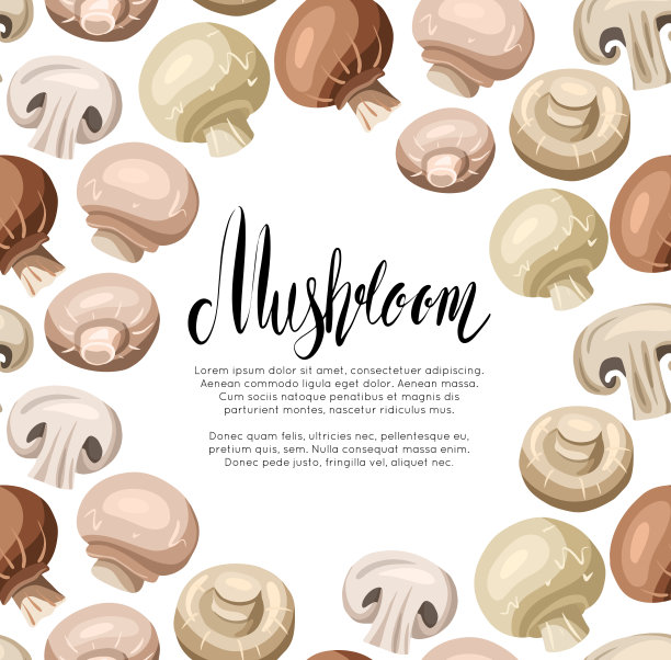蘑菇插画 