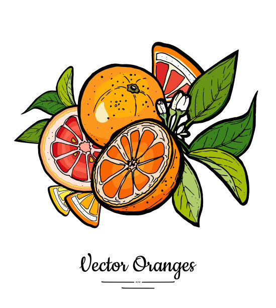 橘子logo