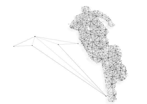 活力步调欢快向前跑