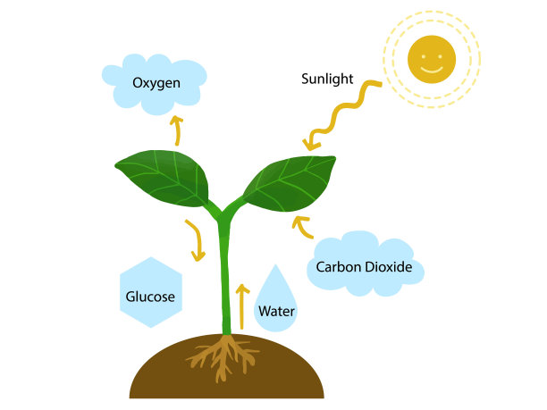 生物细胞学科