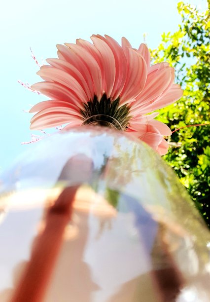 花角
