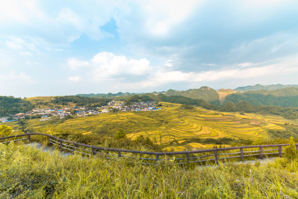 金秋梯田