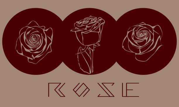 墨红玫瑰