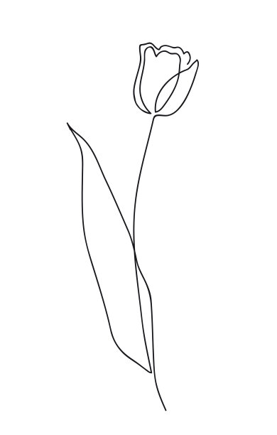线条单色花