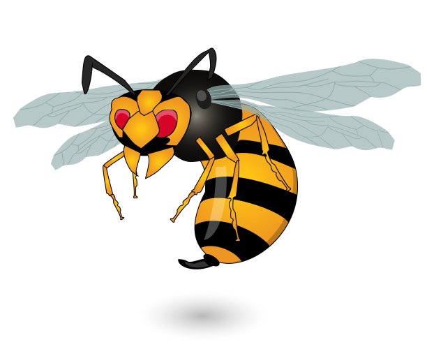 蜜蜂卡通标志