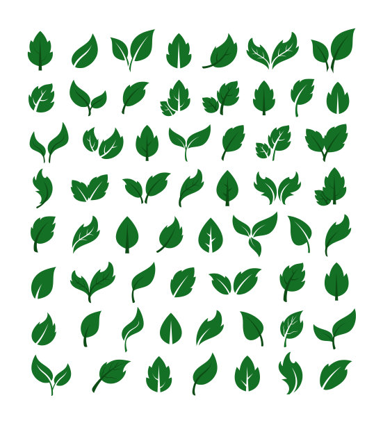 茶叶树叶绿叶logo