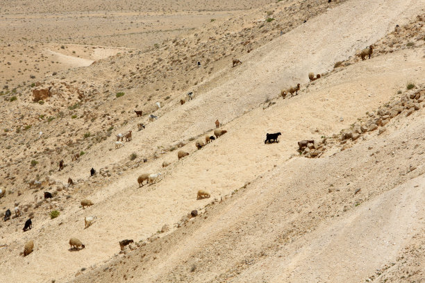 desolate