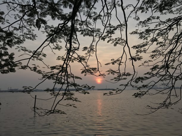 秋季湖泊夕阳太阳倒影