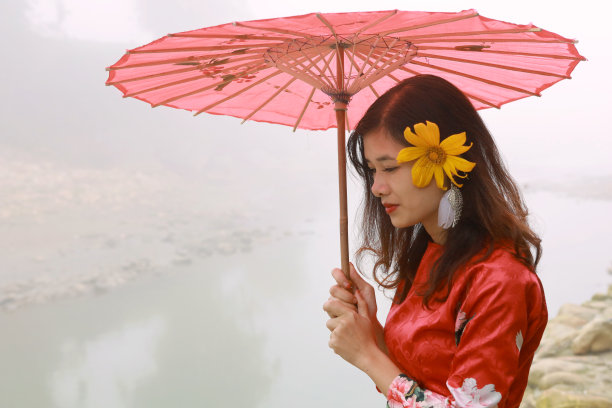 雨伞小花