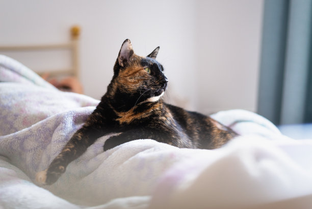 简约现代风格温馨卧室