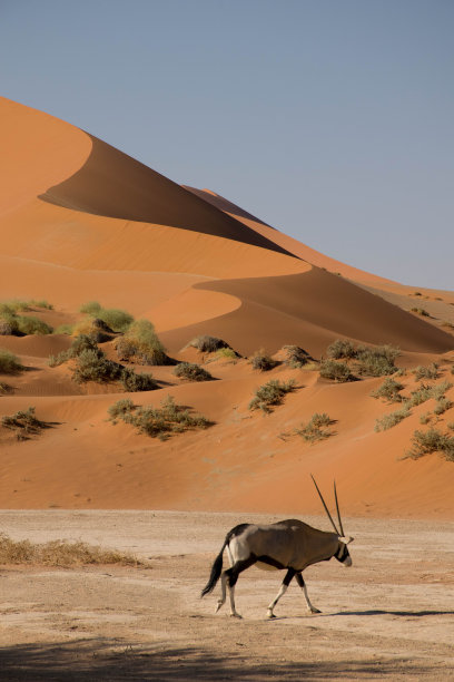 namibia