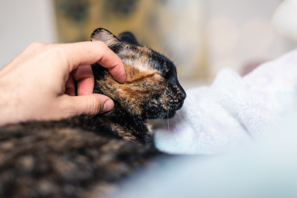 简约现代风格温馨卧室