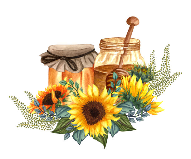 蜂蜜插画