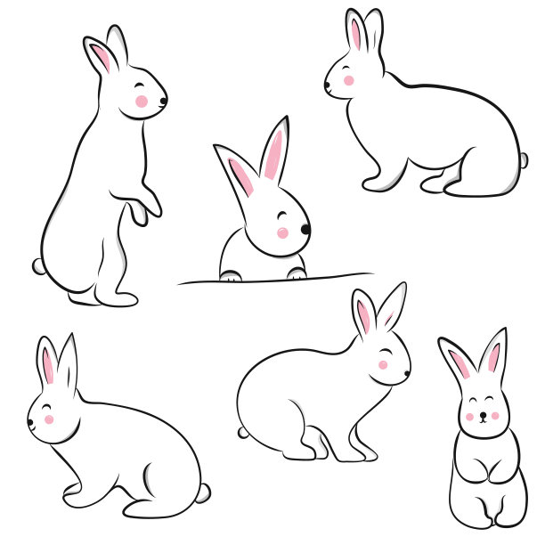线条兔子