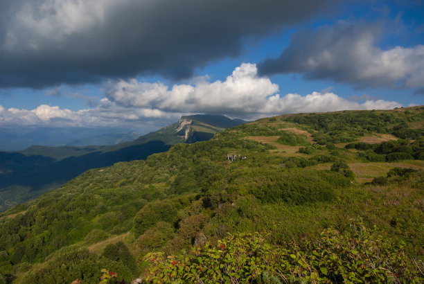 春天夏天春意风景美景