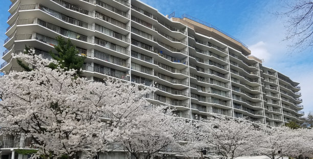 现代风地产节日