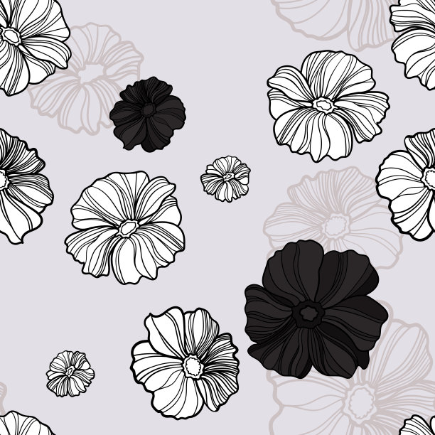 牡丹花插画