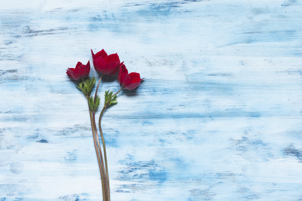 红色婚礼花艺素材