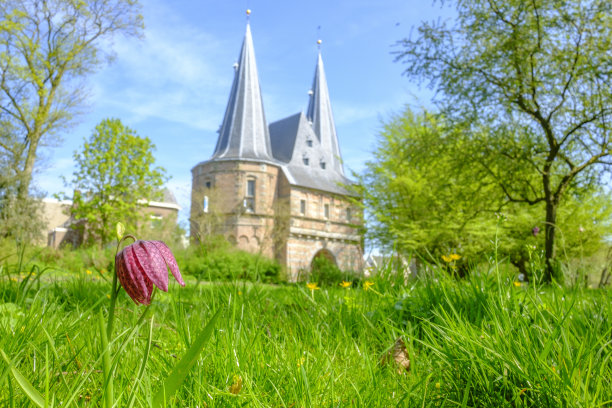 kampen