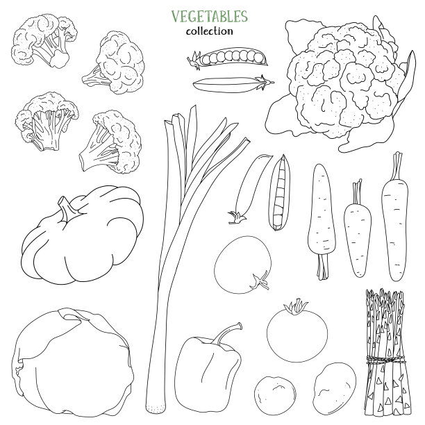 矢量厨房蔬菜食物素材