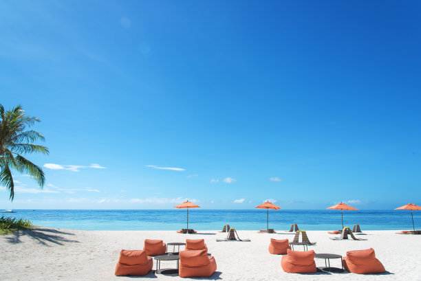 芭蕉叶沙发背景