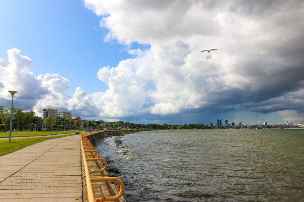 海鸥散步