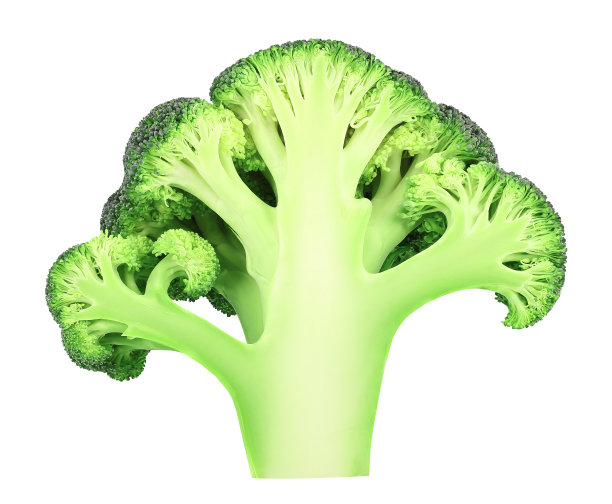 brocolli