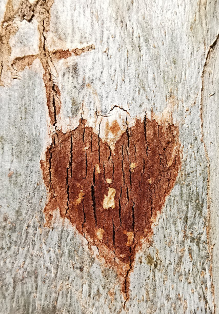 爱心墙爱心树