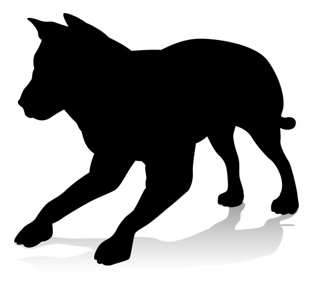 宠物标识logo