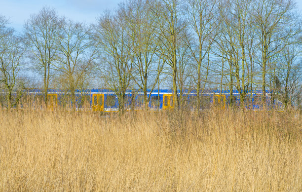 湿地,冬天,列车
