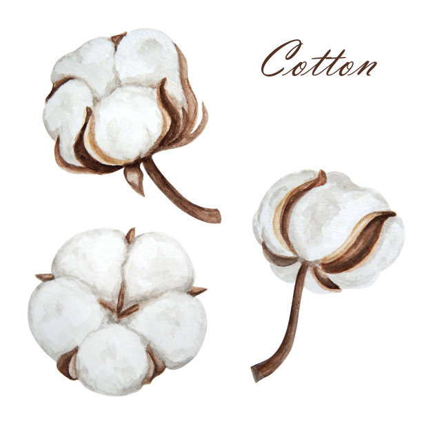 cotton