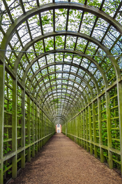 绿植拱门