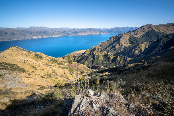 hawea