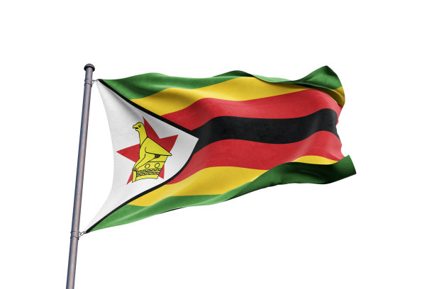 zimbabwean