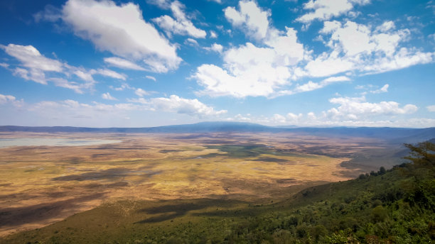 ngorongoro
