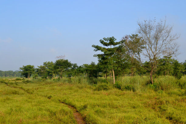 chitwan