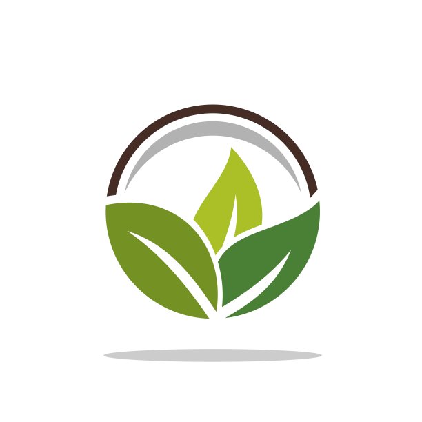 绿叶设计logo