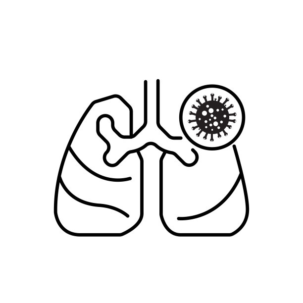 人体,呼吸系统,人类肺脏