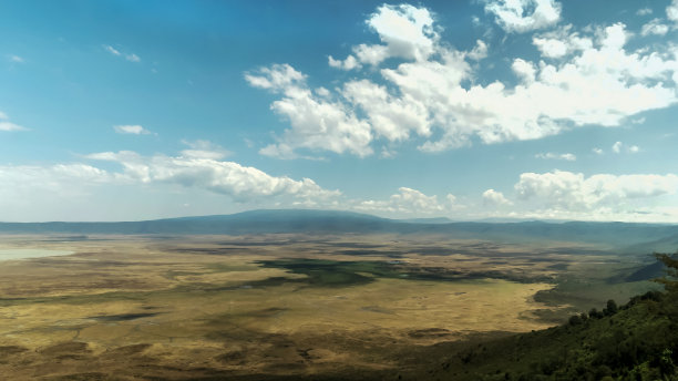 ngorongoro