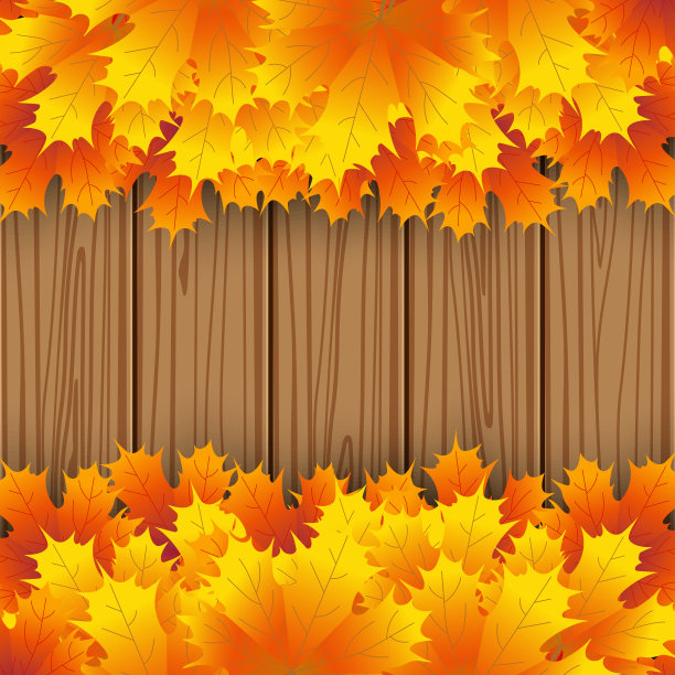 秋季植物树叶装点边框矢量素材