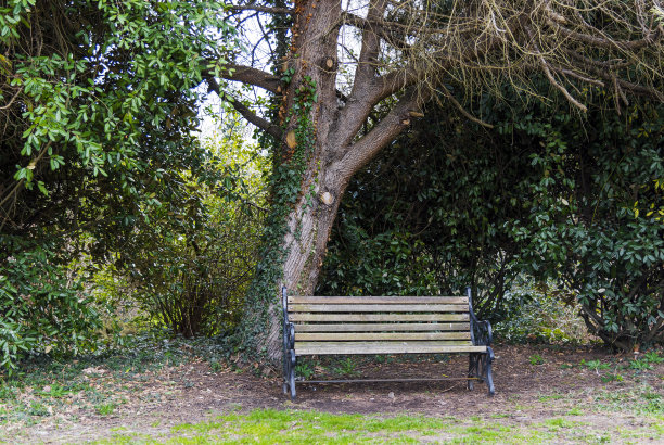 arboretum