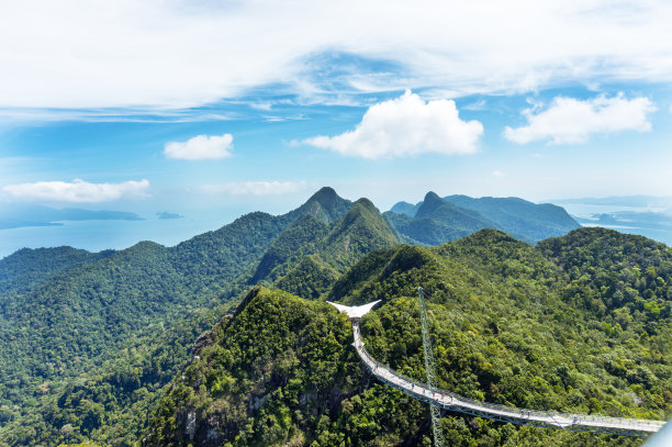 丛林草地