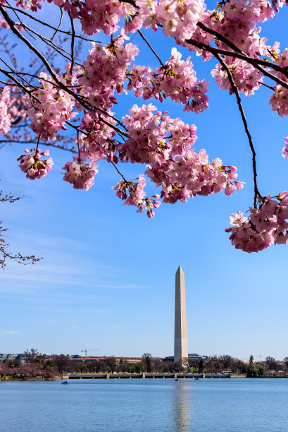华盛顿纪念碑
