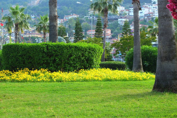 horticulture