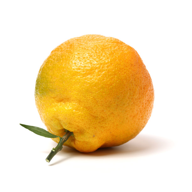 丑橙子