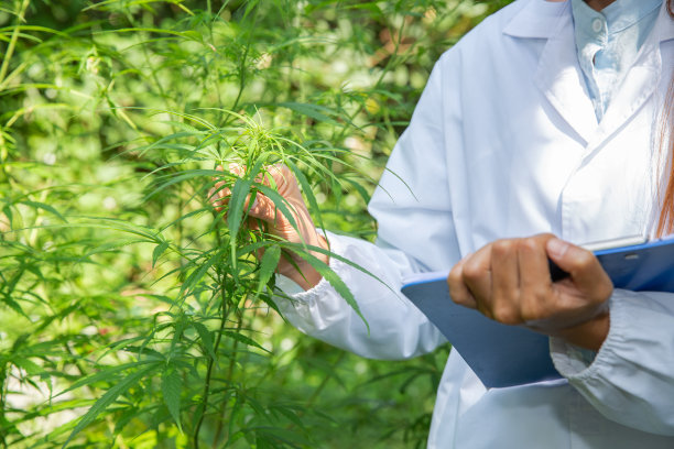 女科学家研究培养植物