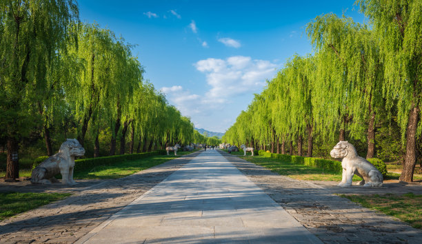 绿色中国风景名胜艺术