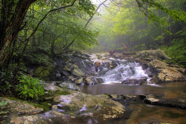 又要绿水青山