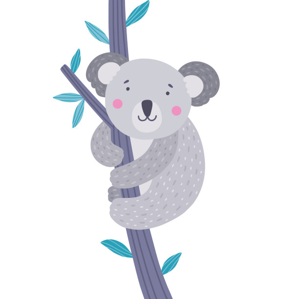 koala